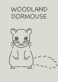Woodland Dormouse Simple Gray