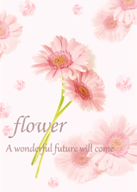 Happy gerbera flower8.