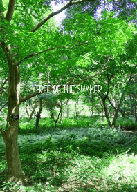 TREE OF THE SUMMER -GREEN- 23