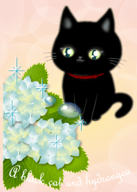 アジサイの花と黒猫ちゃん2(雨上がり編)
