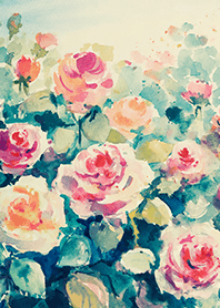 Beautiful rose flower(R4596)