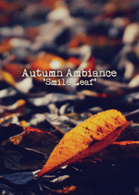Autumn Ambiance 'Smile Leaf'