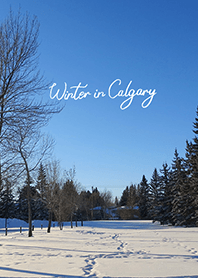 Winter in Calgary (5)