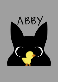 ABBY_Scottish Terrier