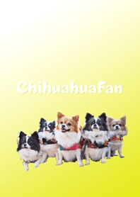 chihuahuaFan