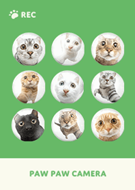 Paw Paw Camera -  Green 04