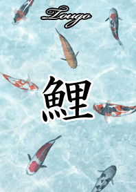 とうご用和風鯉