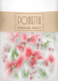 Botanical Candle -POINSETTIA- ＠冬特集
