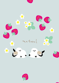 Long-tailed tit strawberry5 from Japan