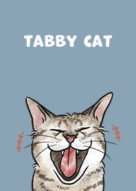 tabbycat4 / pale blue