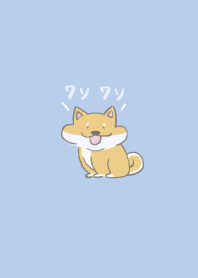 旺旺小柴犬