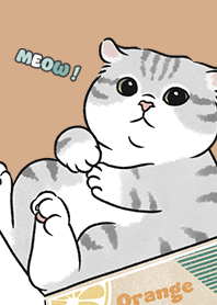 neko single15 / burly wood