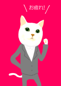 Suit Cat
