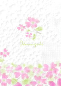 Hanamizuki ～ハナミズキ～