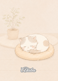 Cozy Lazy Cat: Akiba
