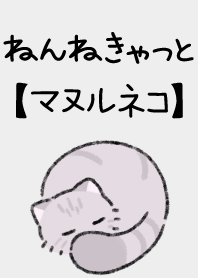 ねんねきゃっと【マヌルネコ】