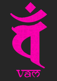 BONJI [vaM] BLACK PINK (0096