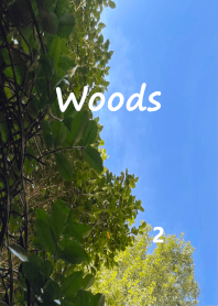 Woods2  tree shade