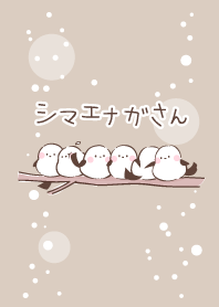 シマエナガさん