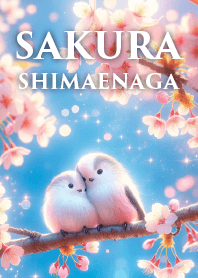 【幸せ運】青空に咲く桜と二匹のシマエナガ
