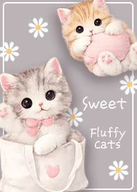 Everyday with Fluffy Kittens
