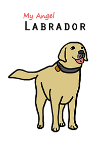 拉布拉多出任務