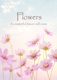 The gentle scent of cosmos7.