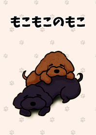 トイプードル もこもこのもこ