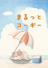 まるっとコーギーと海