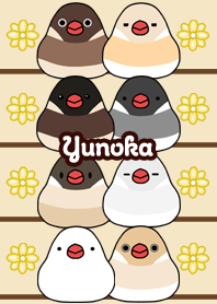 Yunoka Round and cute Java sparrow