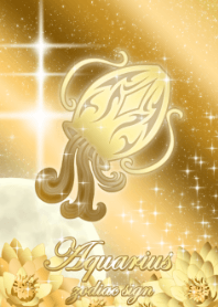 Aquarius Gold and Lotus 2 JPN