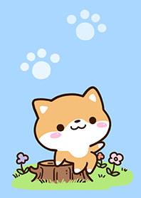 Theme of Cute Shiba