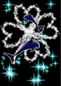 dolphin Clover Black