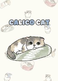 calicocat2 / yellow cream