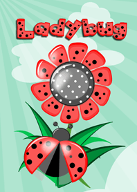Ladybug Ladybird red red in the sky