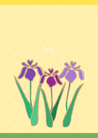 Iris weather on yellow