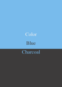 シンプルカラー : 青+炭