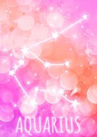 【みずがめ座】恋愛成就のおまじない❤