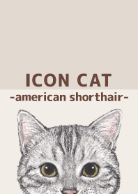 ICON CAT - American Shorthair - BROWN/05
