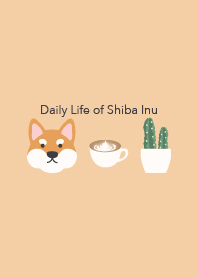 柴犬日常