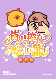 Baby Capybara's benefactor is near.