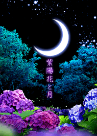 紫陽花と月