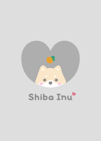 Shiba Inu2 Lemon - gray