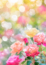 Beautiful rose flower(R1868)