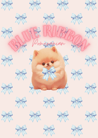 Blue ribbon Pomeranian