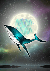 月とクジラと水瓶座