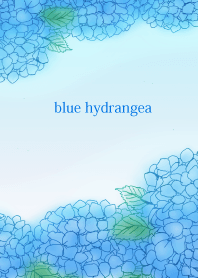 I am on cloud nine.blue hydrangea