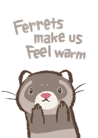 Ferrets make us feel warm -Sable-