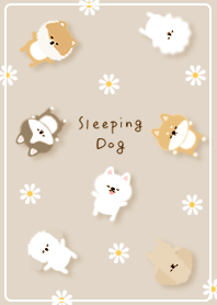 beige Sleeping Dog 02_2