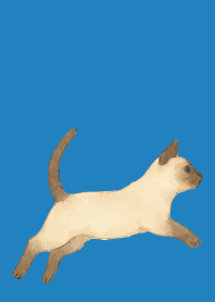 Siamese cat holiday04 on blue